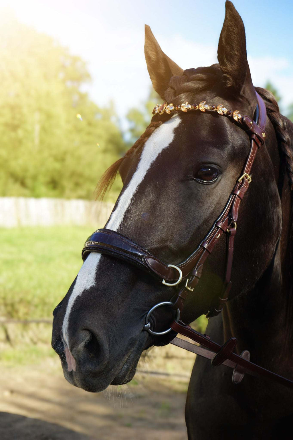 NEW 🖤🤎 Nia Multi Bridle - Bit to bitless system no.1
