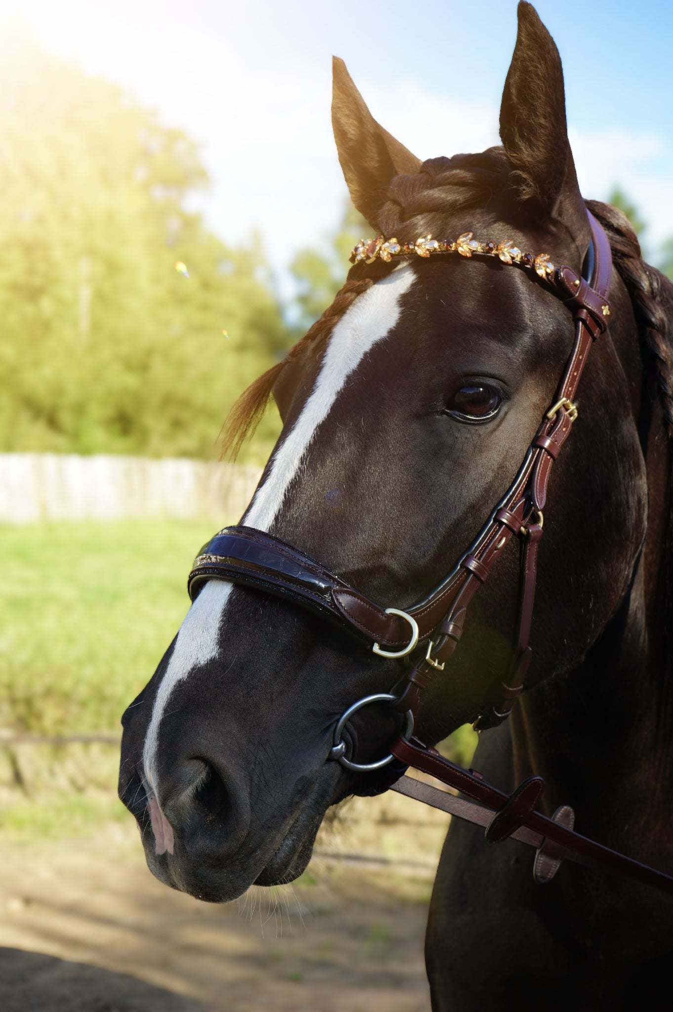 NEW 🖤🤎 Nia Multi Bridle - Bit to bitless system no.1