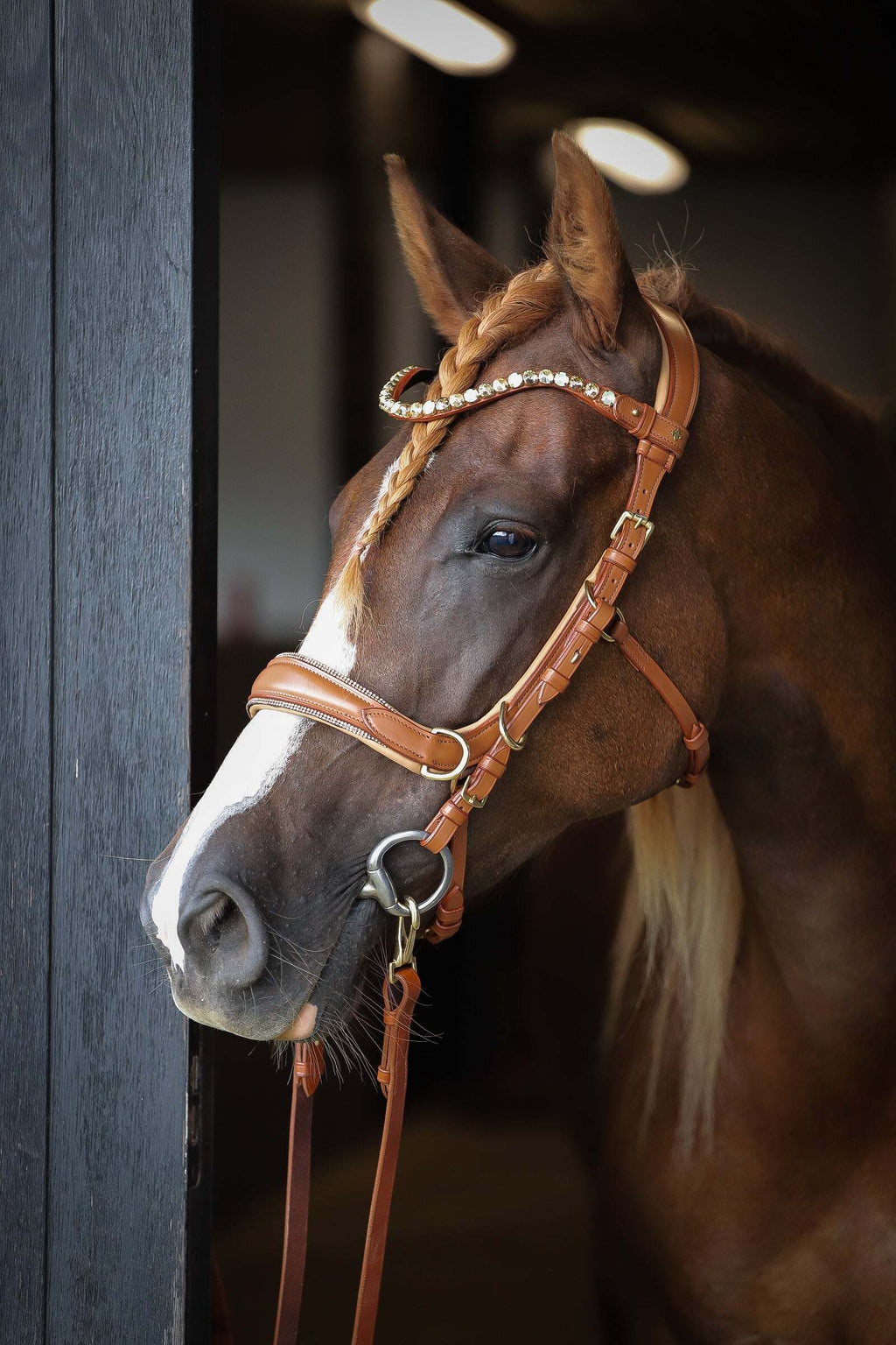 Spiritandhiscrew X MASEGO elegant multi-functional bitless bridle in soft beige Italian leather with crystal browband on a horse
