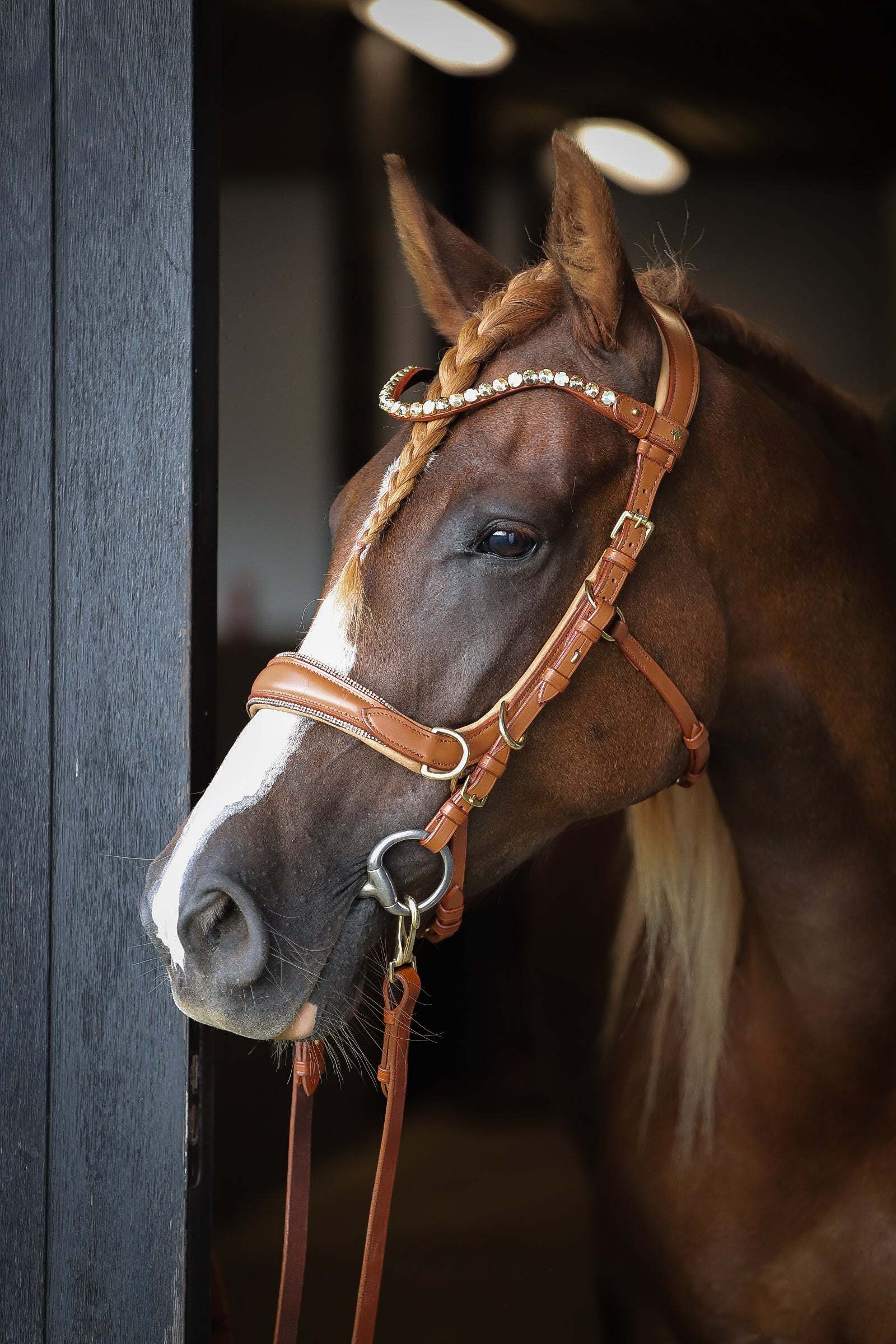 Spiritandhiscrew X MASEGO elegant multi-functional bitless bridle in soft beige Italian leather with crystal browband on a horse