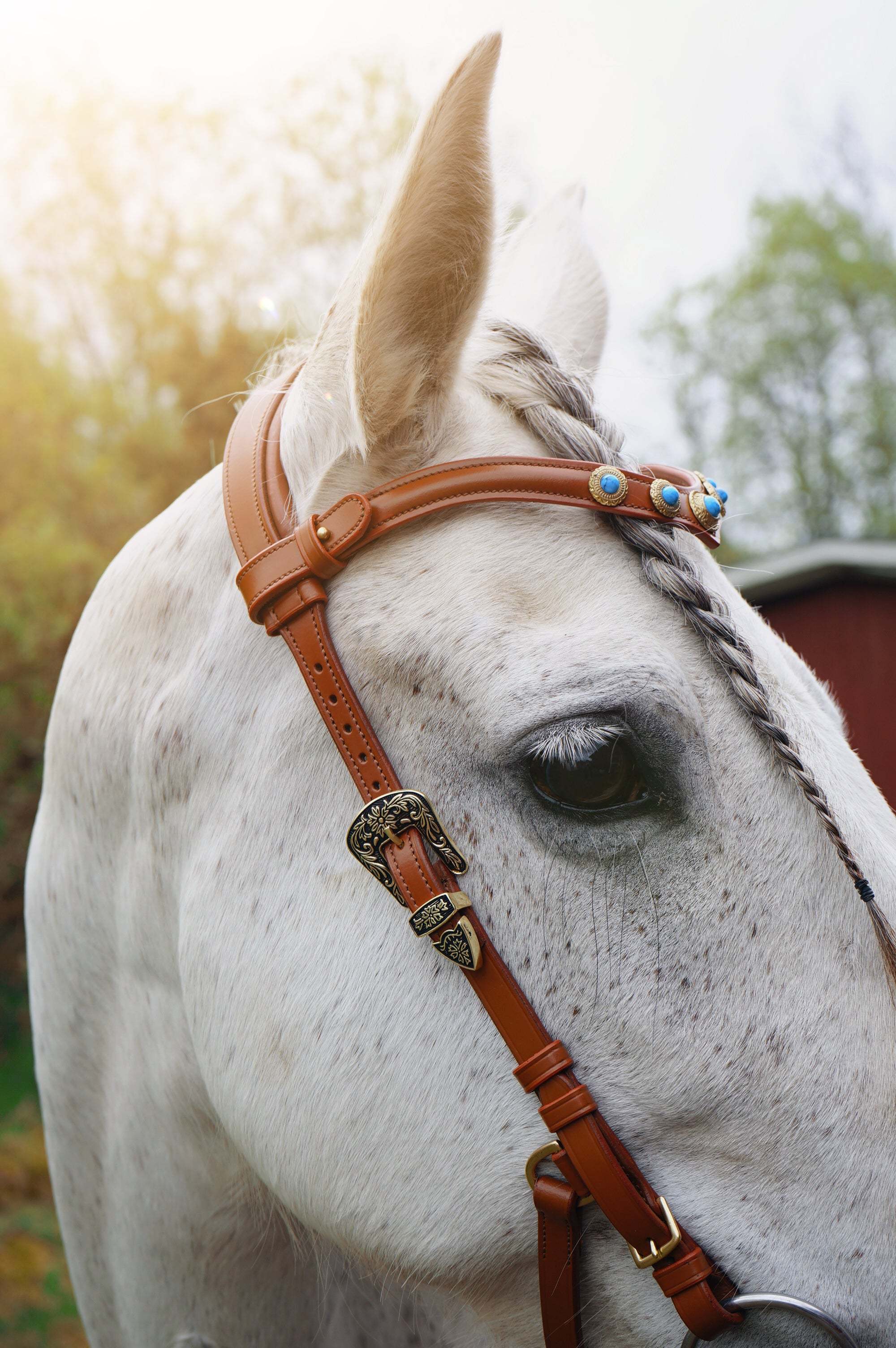 Dakota browband