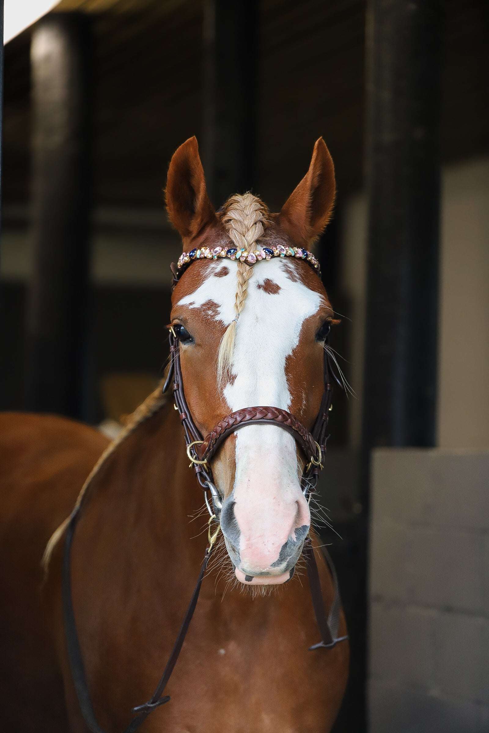 Odessa bonita Multi Bridle padded, bit to bitless system no.1
