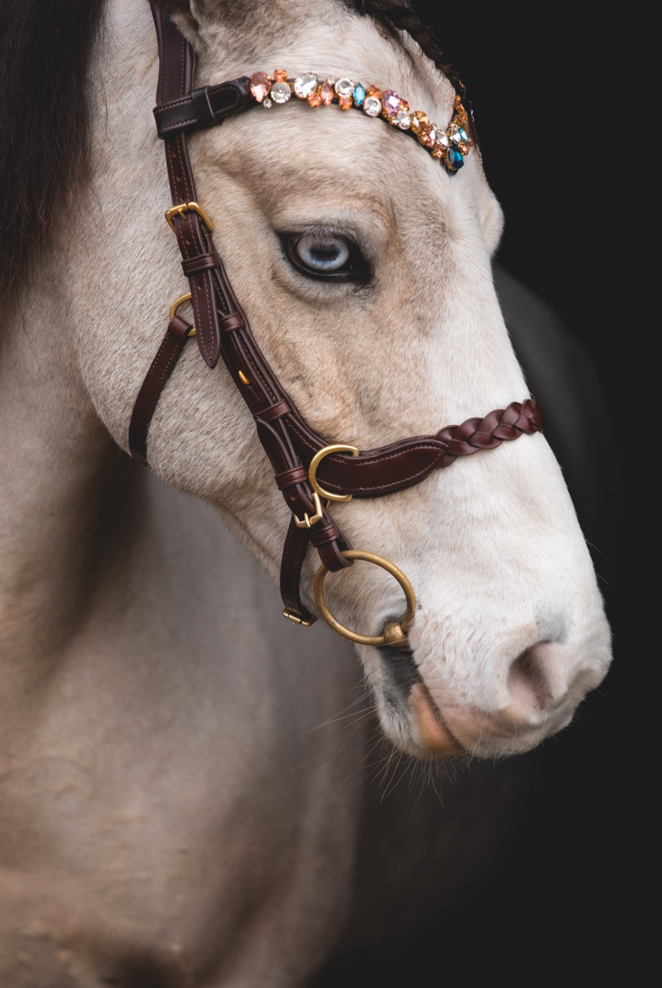 Odessa Bonita Multi bridle - MASEGO bit to bitless system