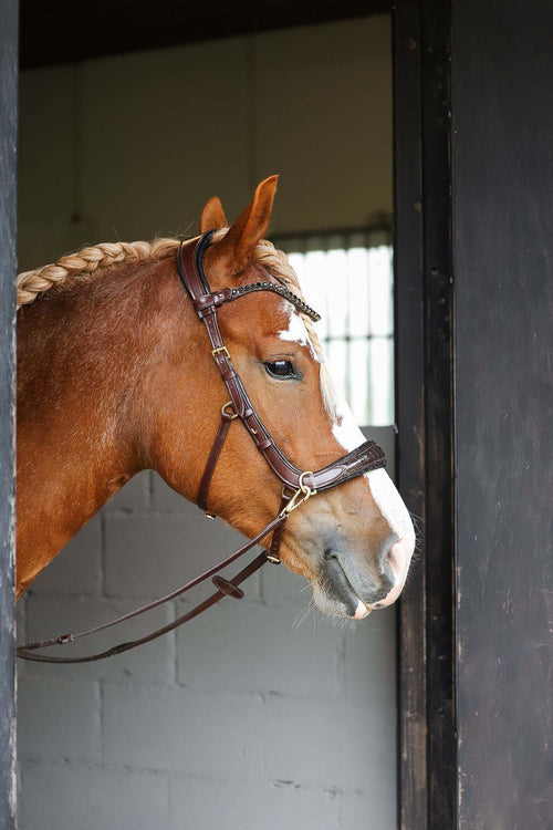 Nia Multi Bridle - Bit to bitless system no.1