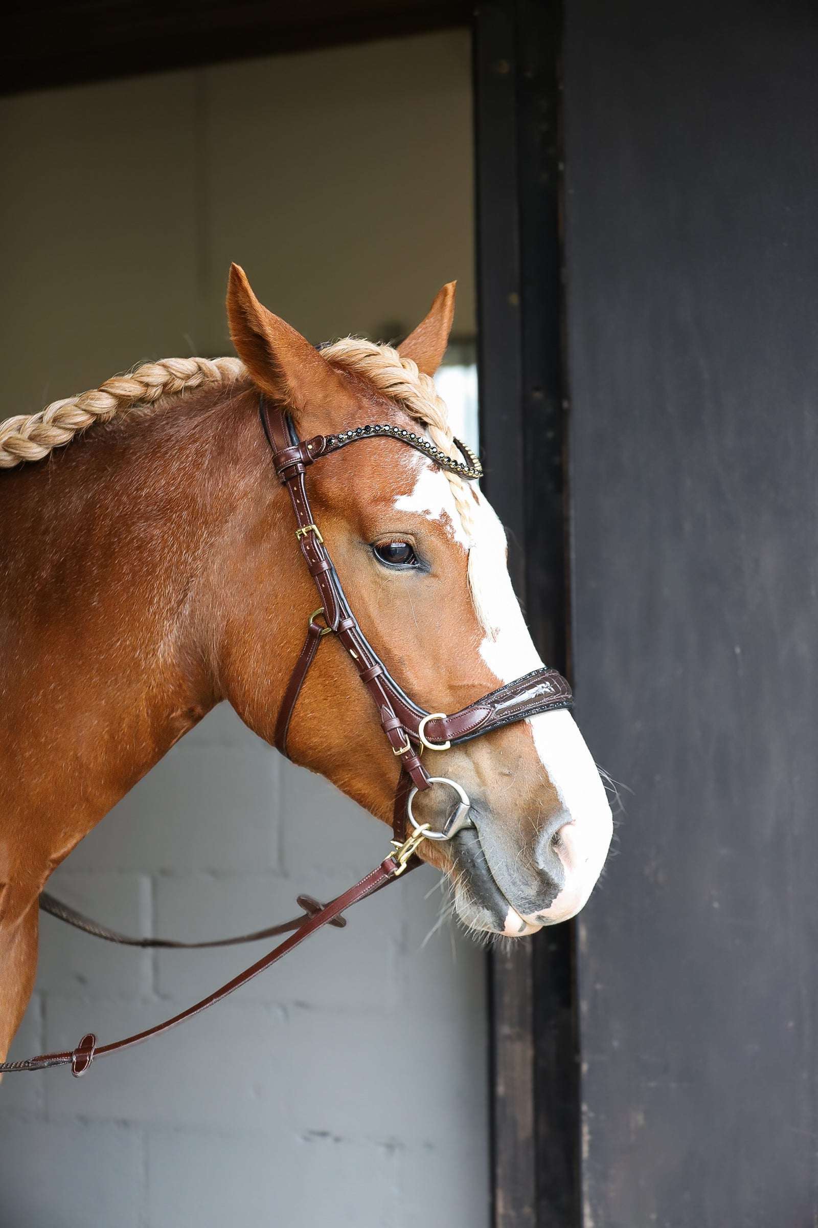 Nia Multi Bridle - Bit to bitless system no.1