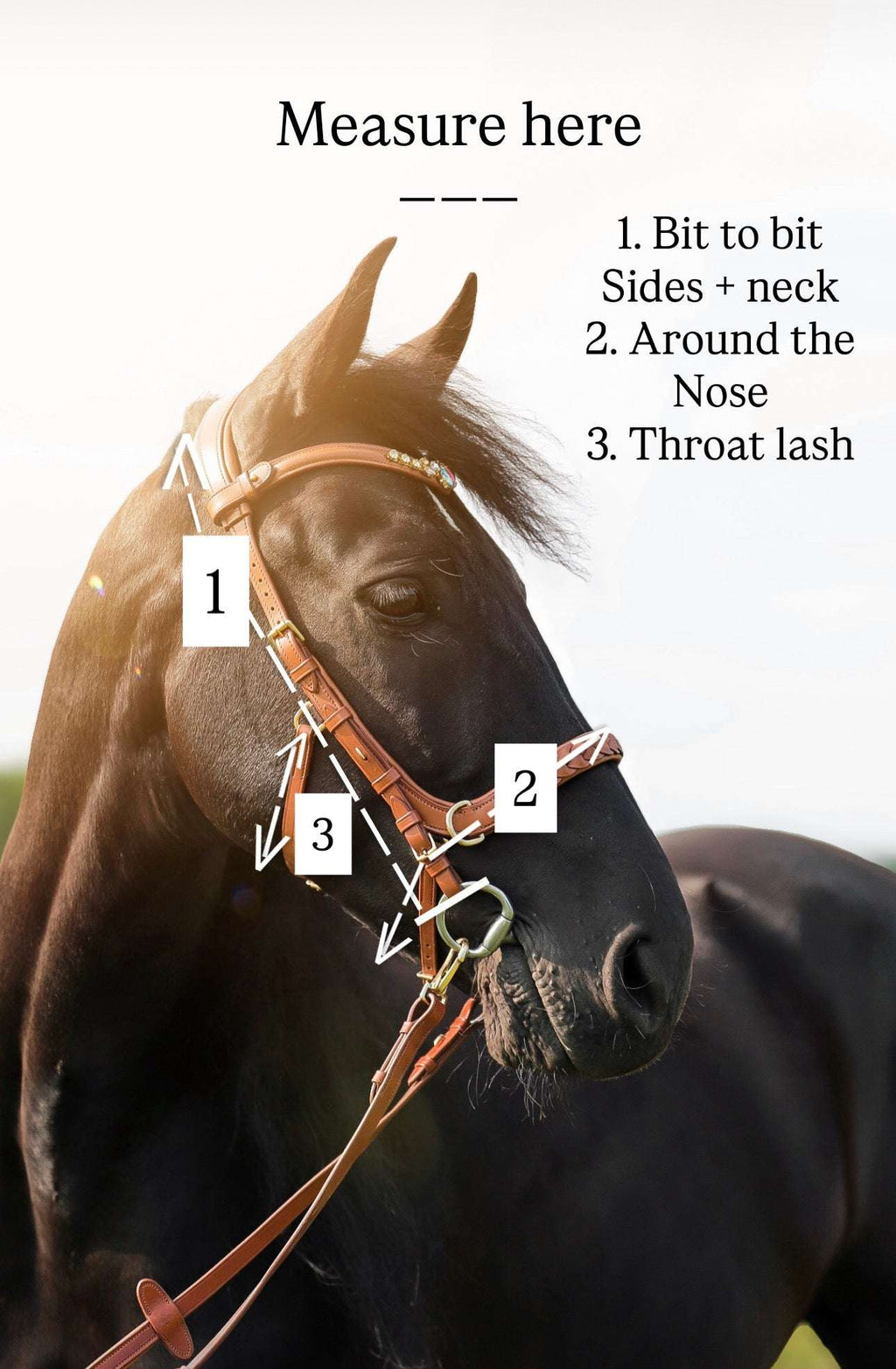 Oliander Multi Bridle - MASEGO bit to bitless system