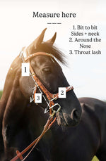 Load image into Gallery viewer, ❤️ Spiritandhiscrew X MASEGO bit to bitless Multi bridle
