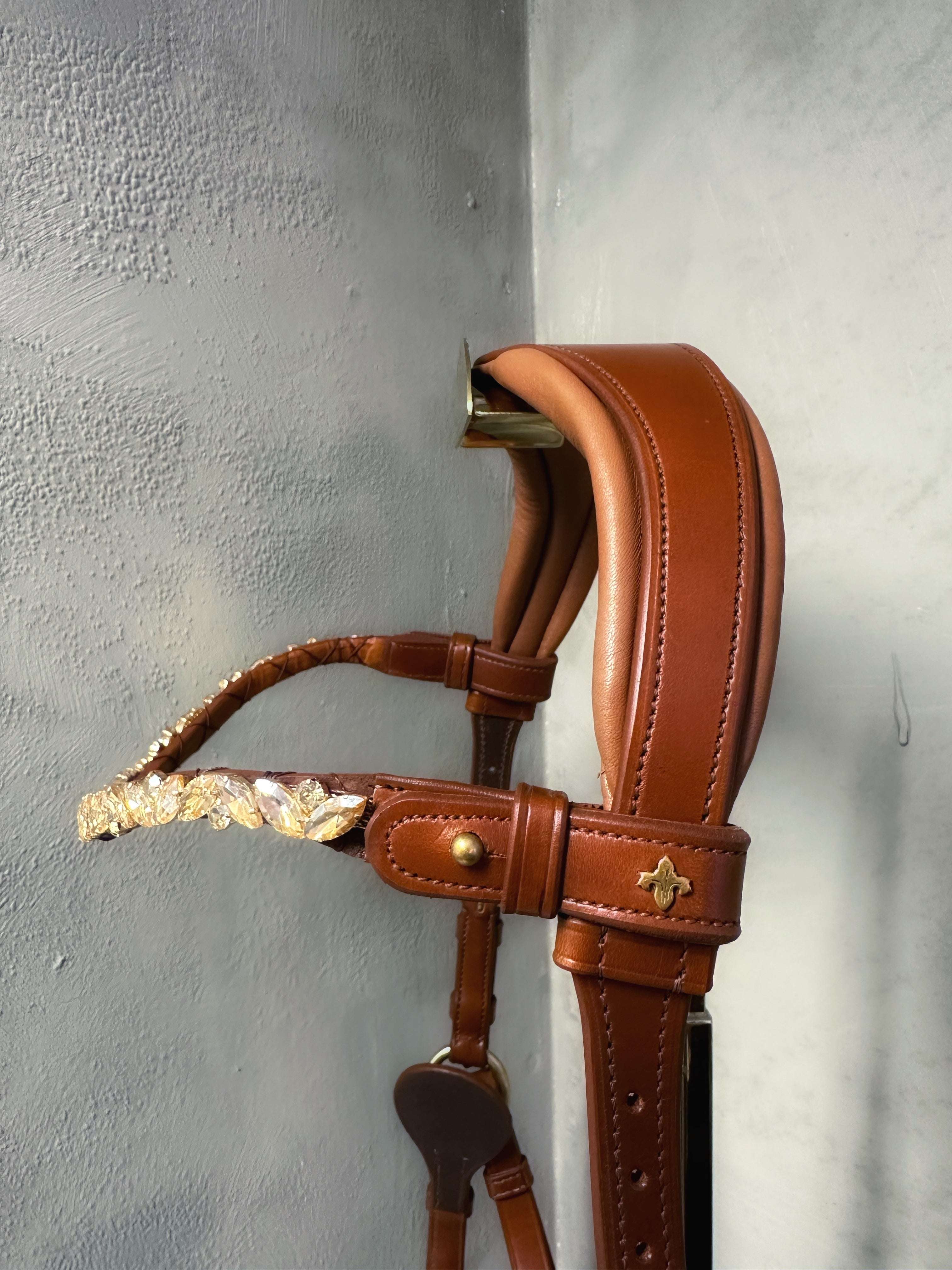 Bella Starwheel hackamore cognac