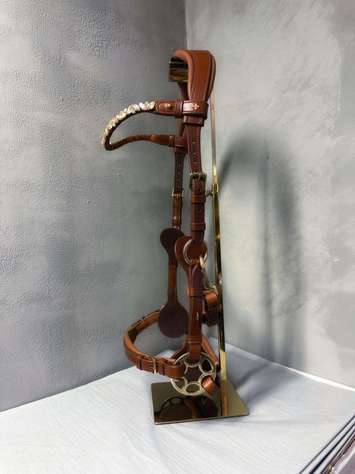 Bella Starwheel hackamore in cognac Italian leather with padded nose and neck, brass hardware, and decorative starwheel detail.