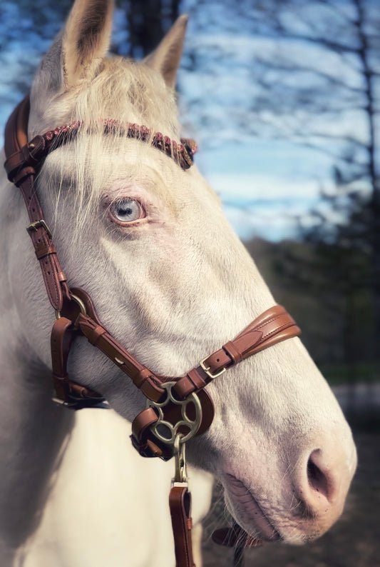 Bella Starwheel hackamore cognac