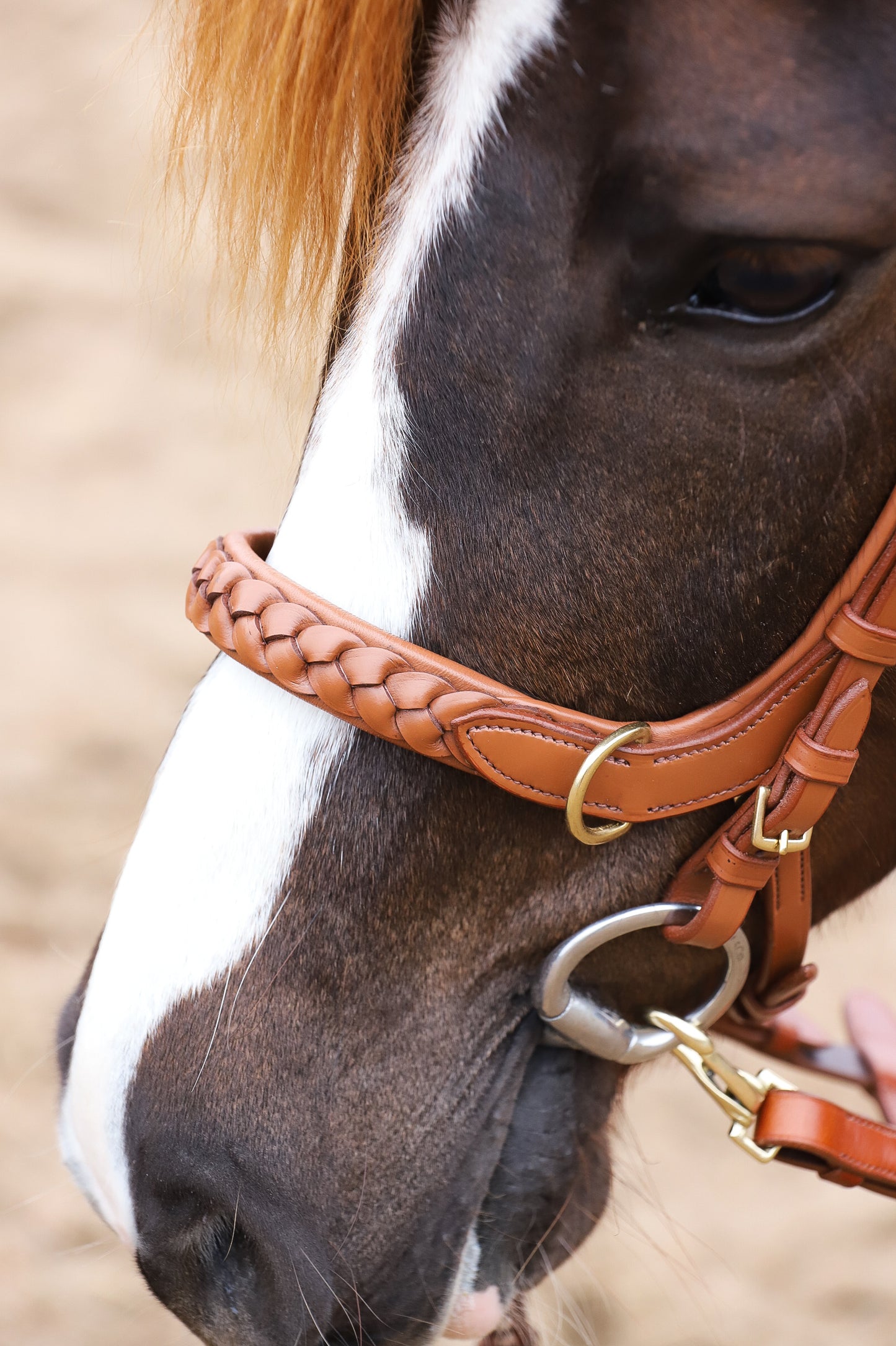 Odessa bonita Multi Bridle with padded noseband - MASEGO bit to bitless system