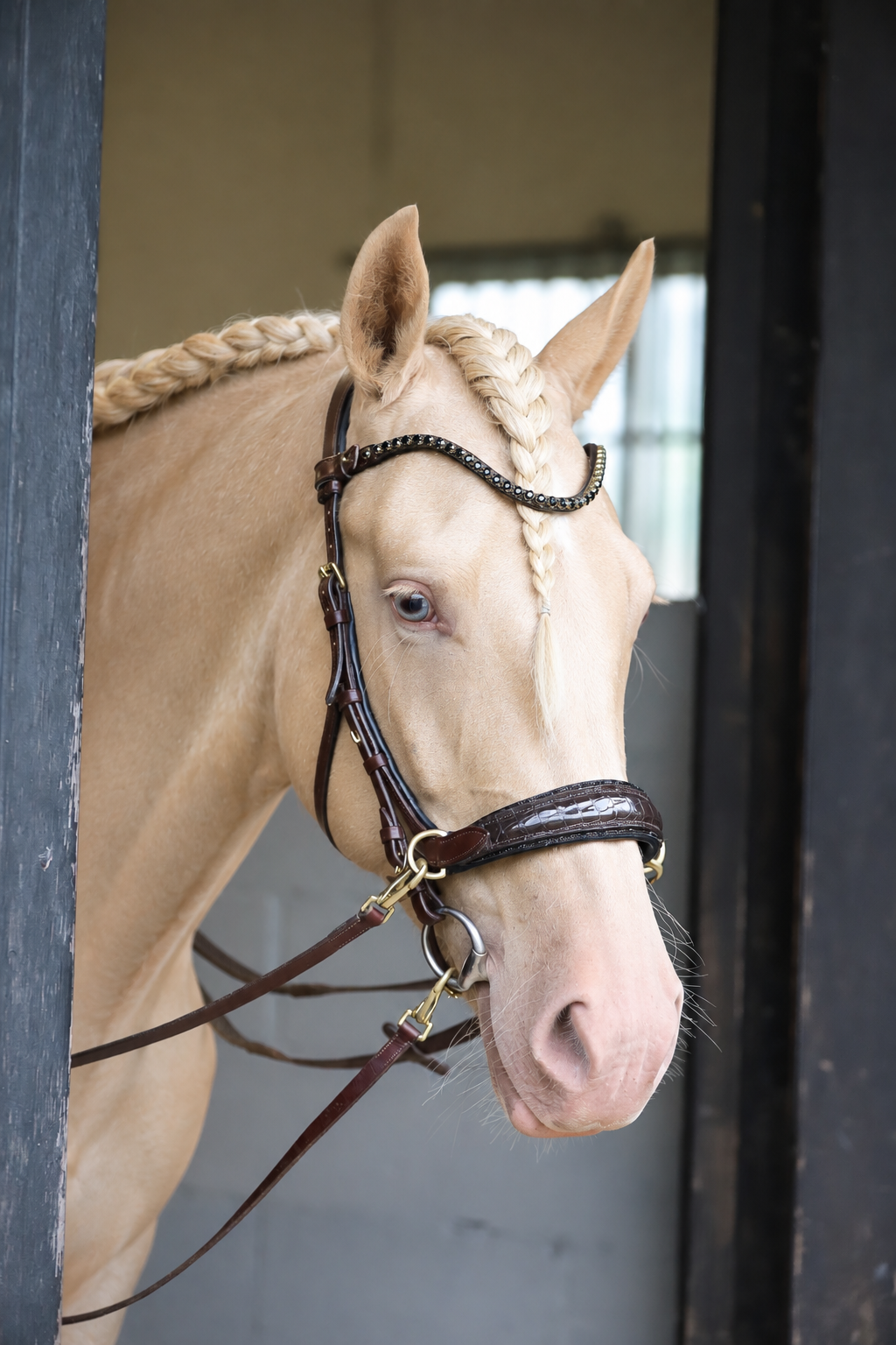 Nia Multi Bridle - Bit to bitless system no.1