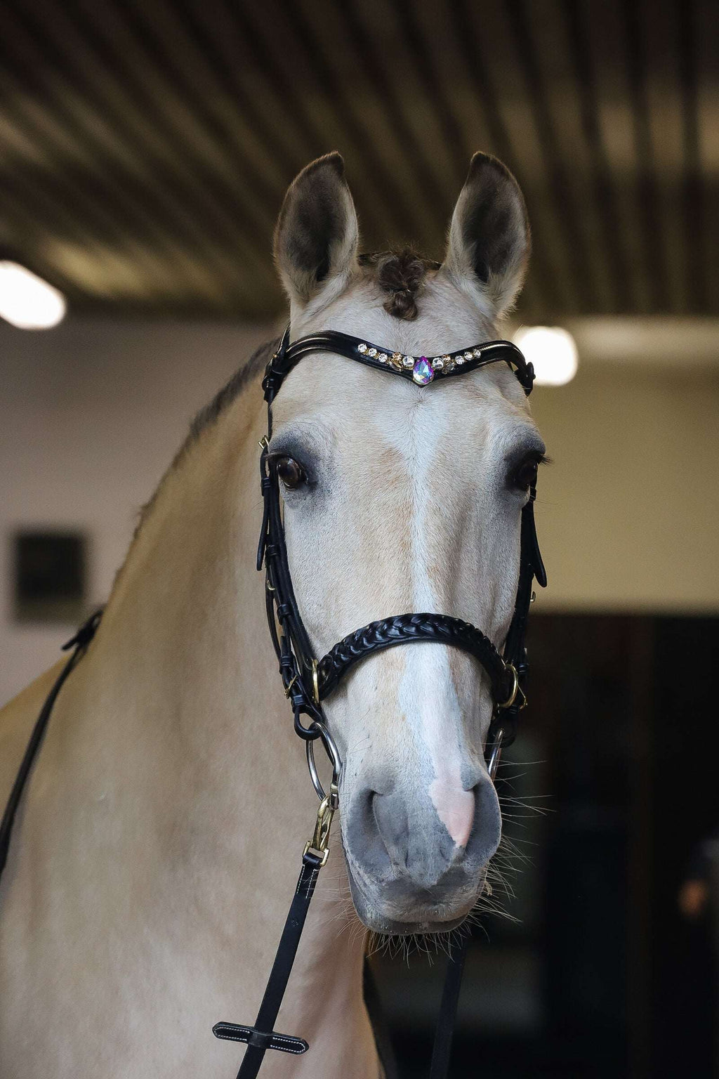 Odessa bonita Multi Bridle padded - MASEGO bit to bitless system