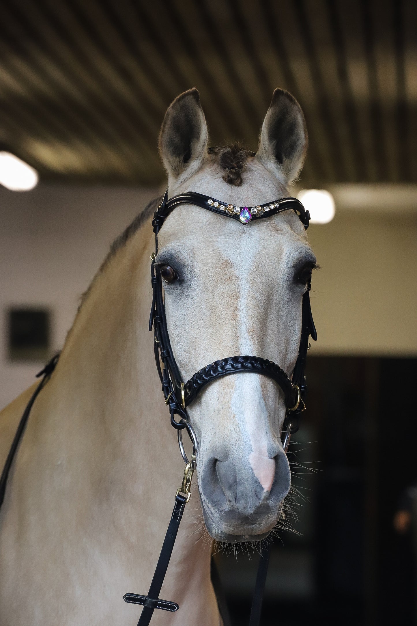 Odessa bonita Multi Bridle with padded noseband - MASEGO bit to bitless system