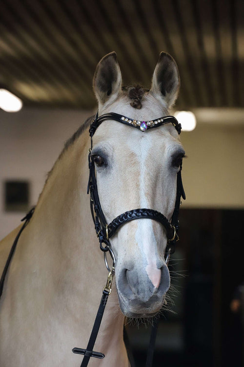 Odessa bonita Multi Bridle padded, bit to bitless system no.1