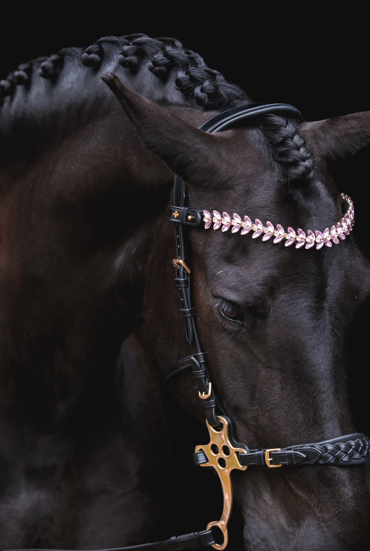 Zoe hackamore Bridle – MASEGO horsewear