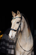 Load image into Gallery viewer, Oliander Multi Bridle in cognac Italian leather with bitless and double rein options
