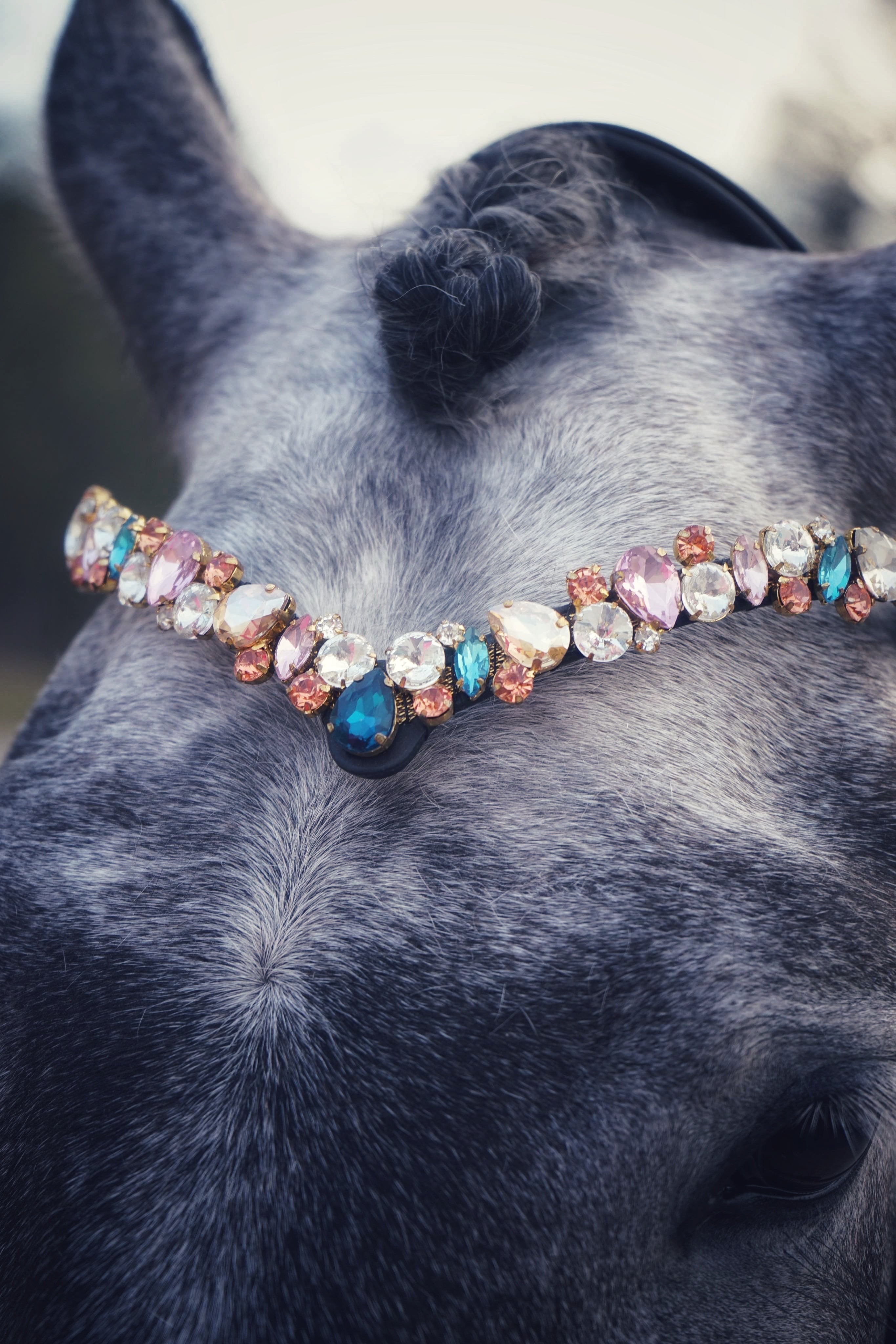 Ania browband with multi-colored stones on gray horse made of premium Italian leather
