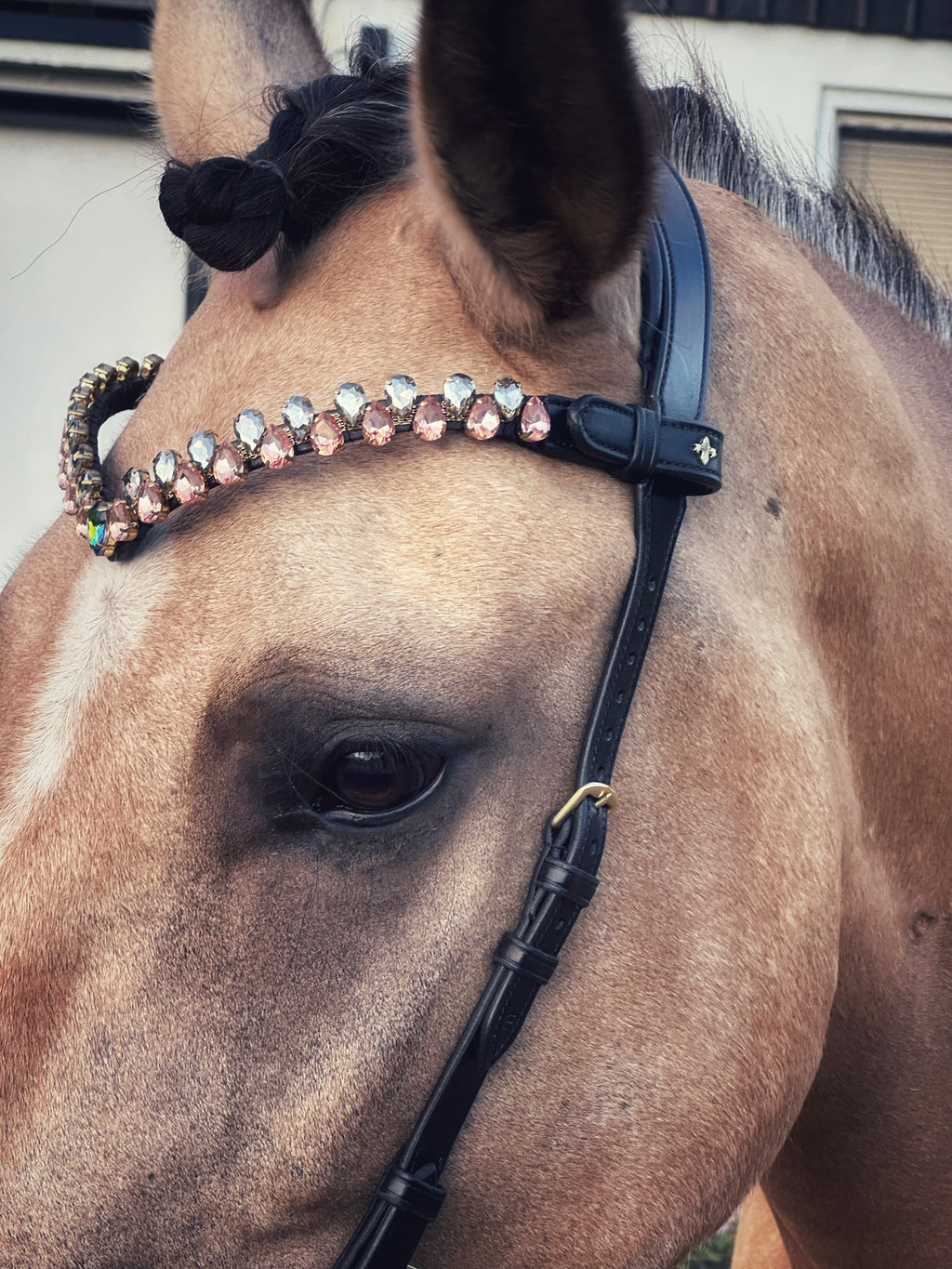 Aurora browband