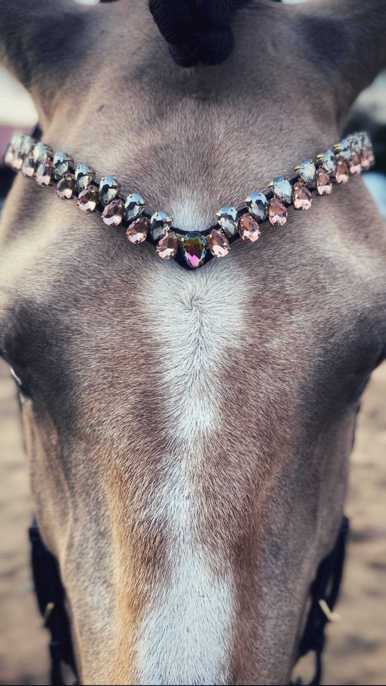 Aurora browband with drop-shaped crystals on horse's forehead