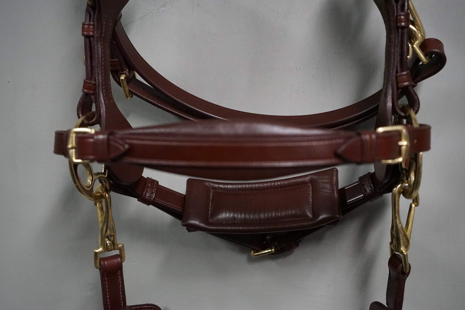 Bella Starwheel hackamore All brown