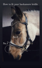 Load image into Gallery viewer, Bella Starwheel hackamore All brown
