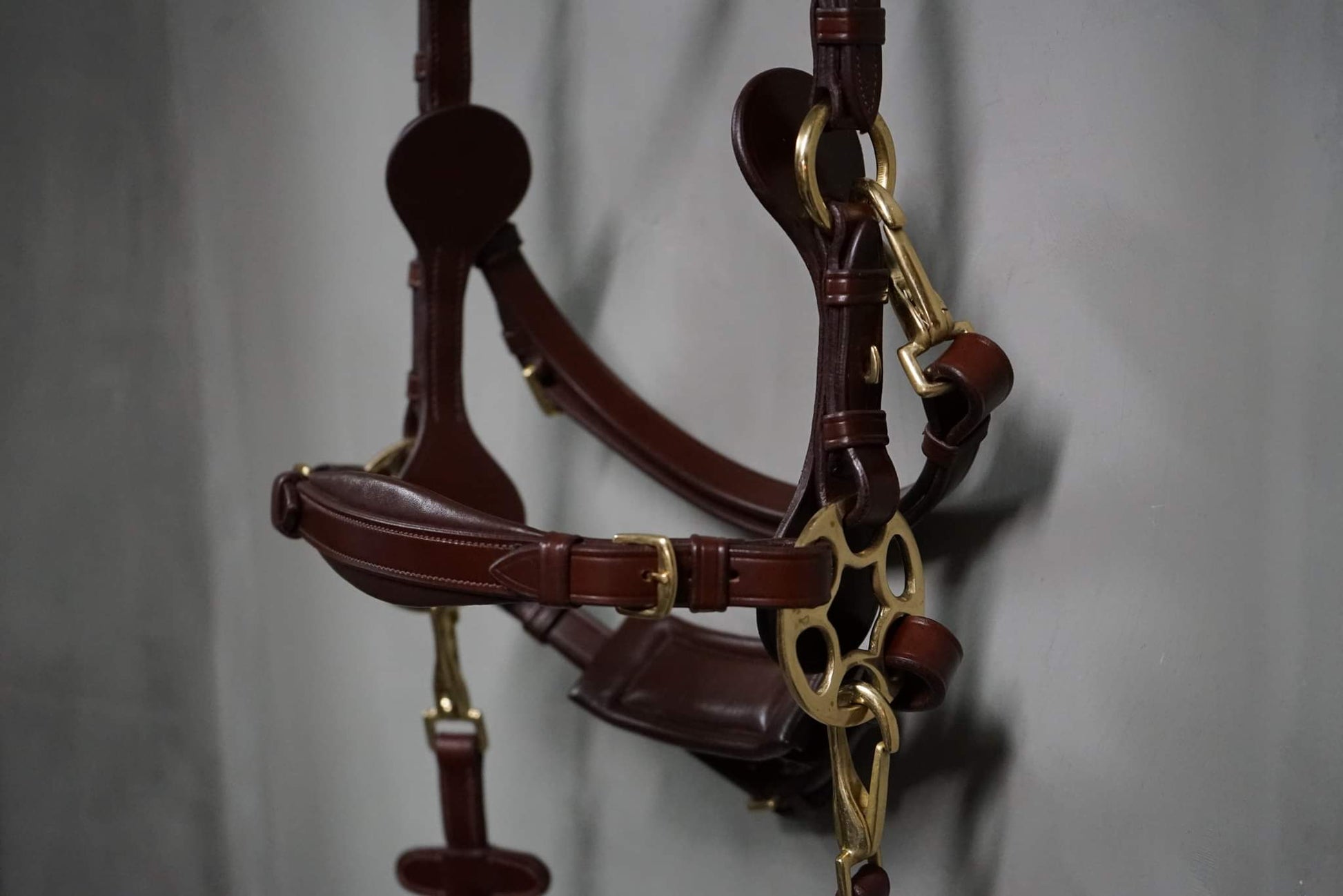 Bella Starwheel hackamore All brown