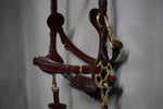 Load image into Gallery viewer, Bella Starwheel hackamore All brown
