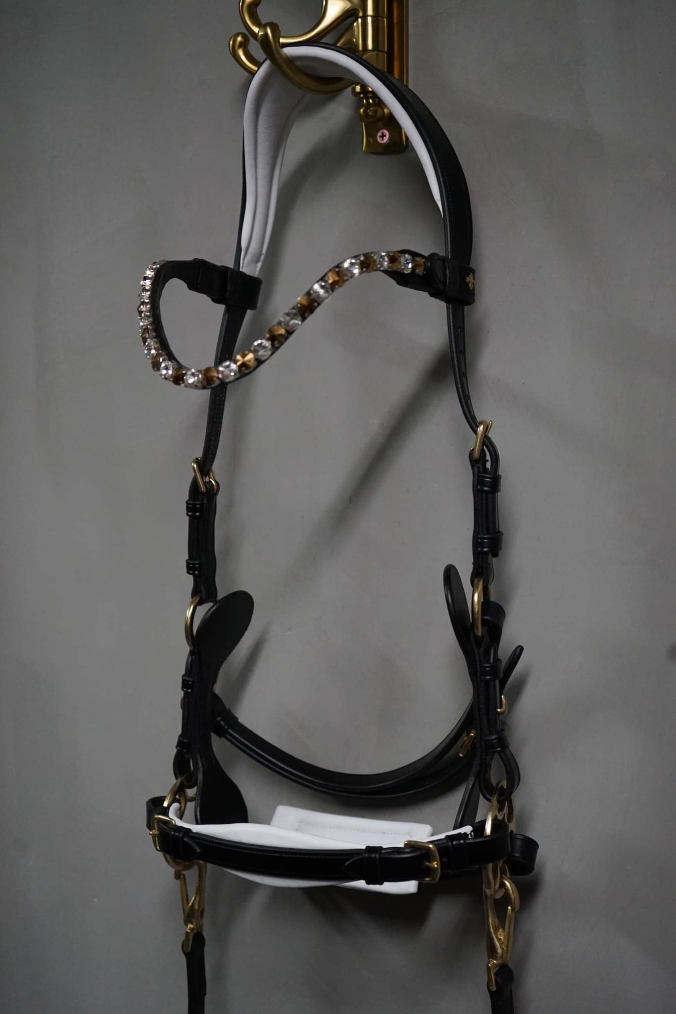 Bella Starwheel hackamore Black and White