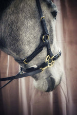 Load image into Gallery viewer, Bella Starwheel hackamore Black and White
