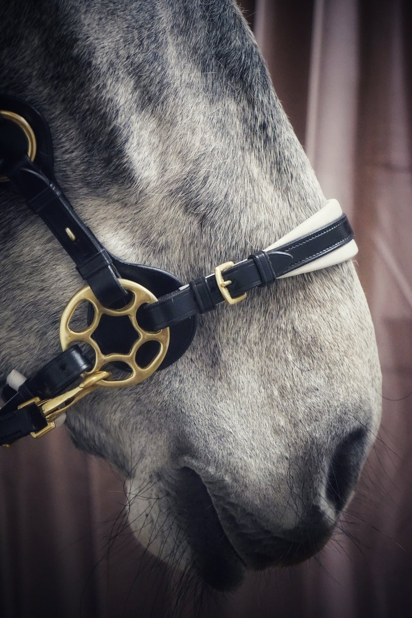 Bella Starwheel hackamore Black and White