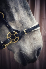 Load image into Gallery viewer, Bella Starwheel hackamore Black and White
