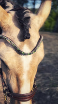 Bosque browband with green and grey Preciosa crystals on high quality Italian leather shown on horse's forehead