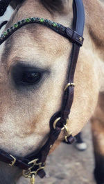 Load image into Gallery viewer, Bosque browband
