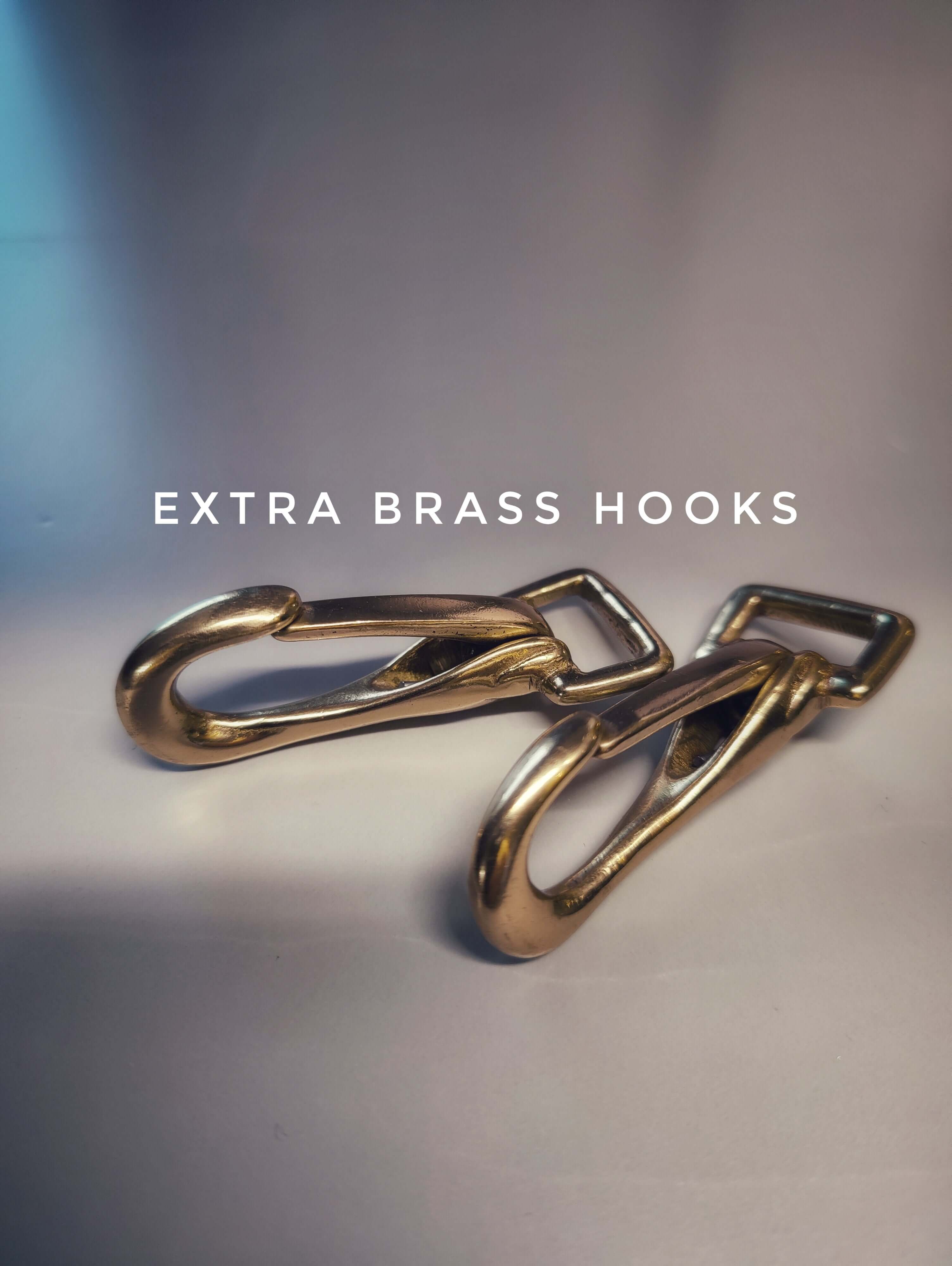 Two shiny brass hooks for reins on a neutral background