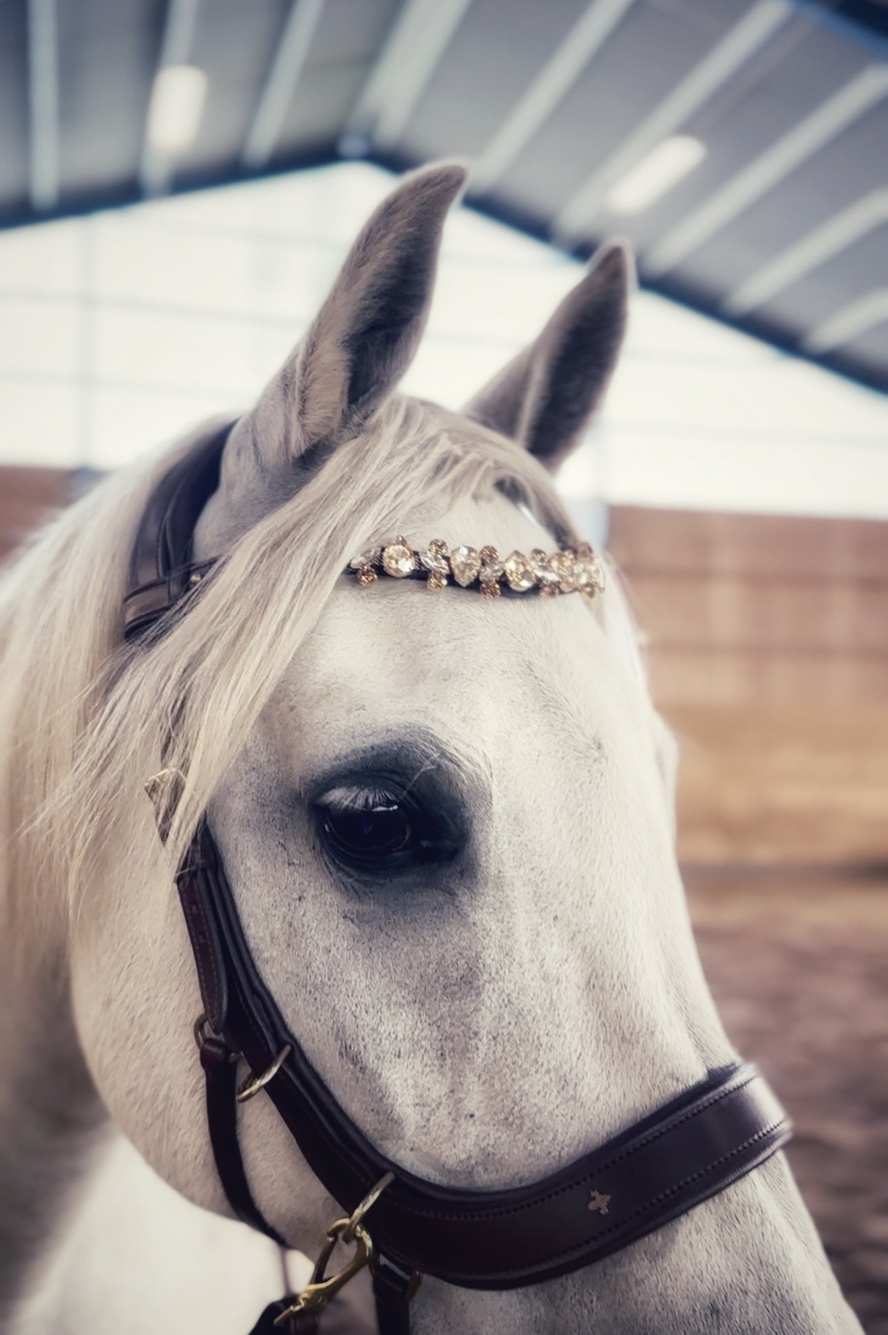 Champagne Tiara