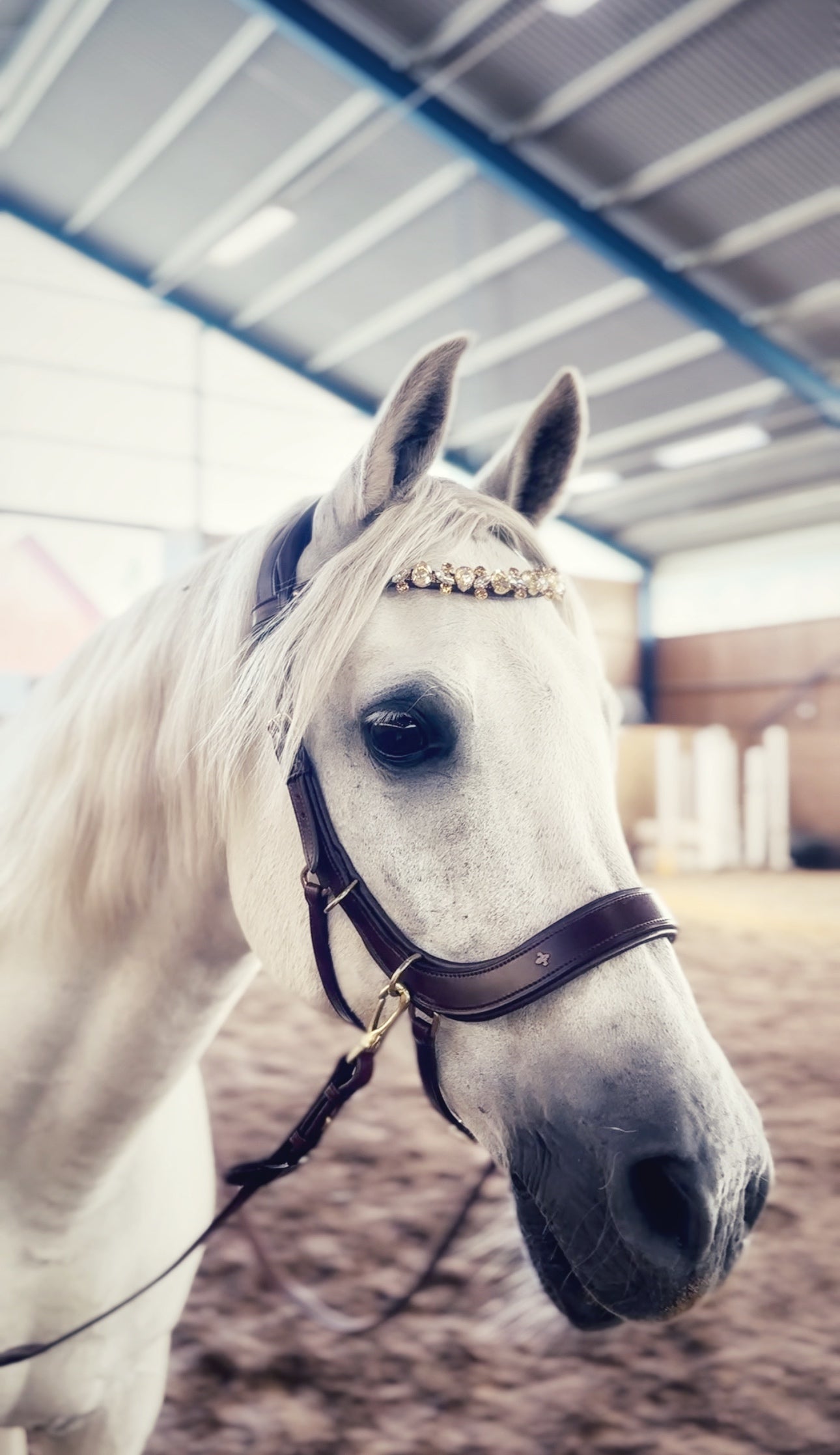 Champagne Tiara