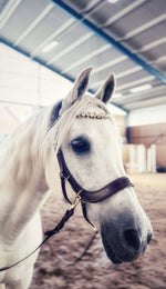 Load image into Gallery viewer, Champagne Tiara
