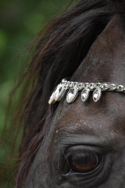 Charcoal Raindrop browband with large crystals on horse's forehead in black leather