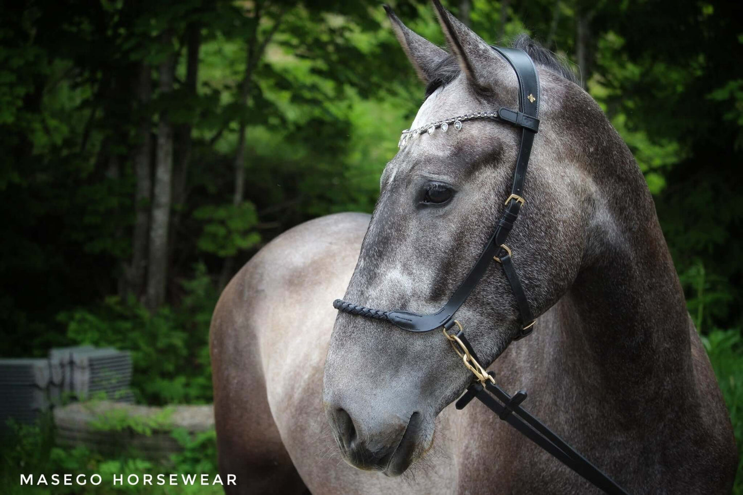 Bit and bitless bridles, halters, riding tights, swarovski browbands and much more