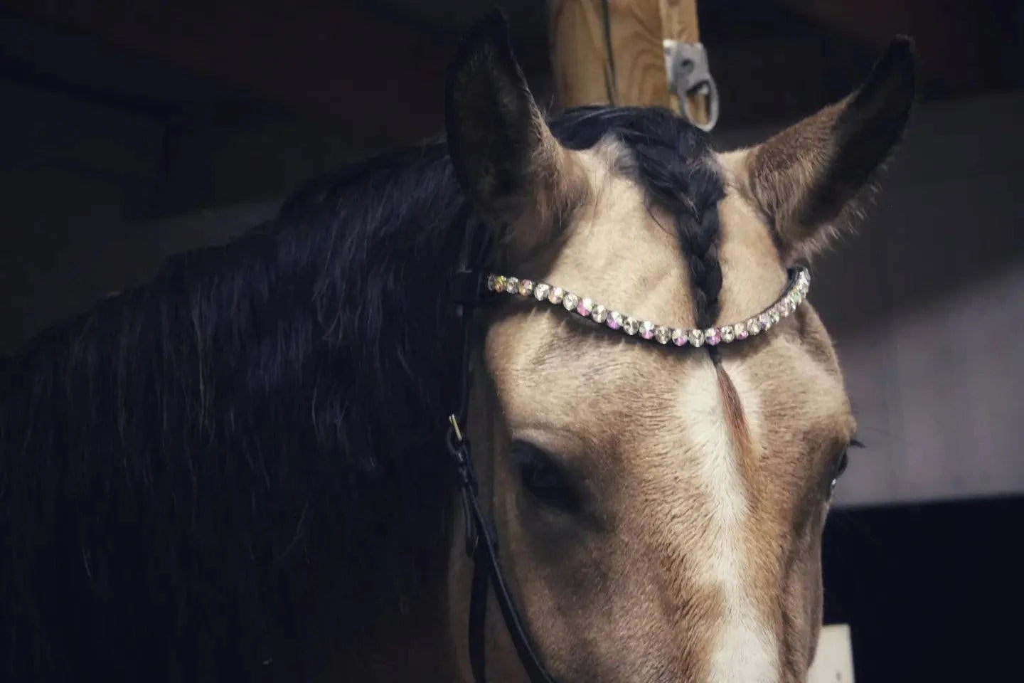 Horse wearing a chunky Swarovski ice crystal browband with a single row of 10mm pyramid-shaped crystals.