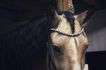 Load image into Gallery viewer, Horse wearing a chunky Swarovski ice crystal browband with a single row of 10mm pyramid-shaped crystals.

