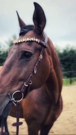 Load image into Gallery viewer, Coco bridle
