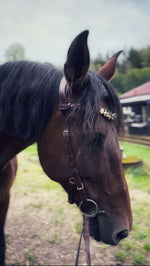 Load image into Gallery viewer, Coco bridle
