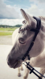 Load image into Gallery viewer, Coco bridle
