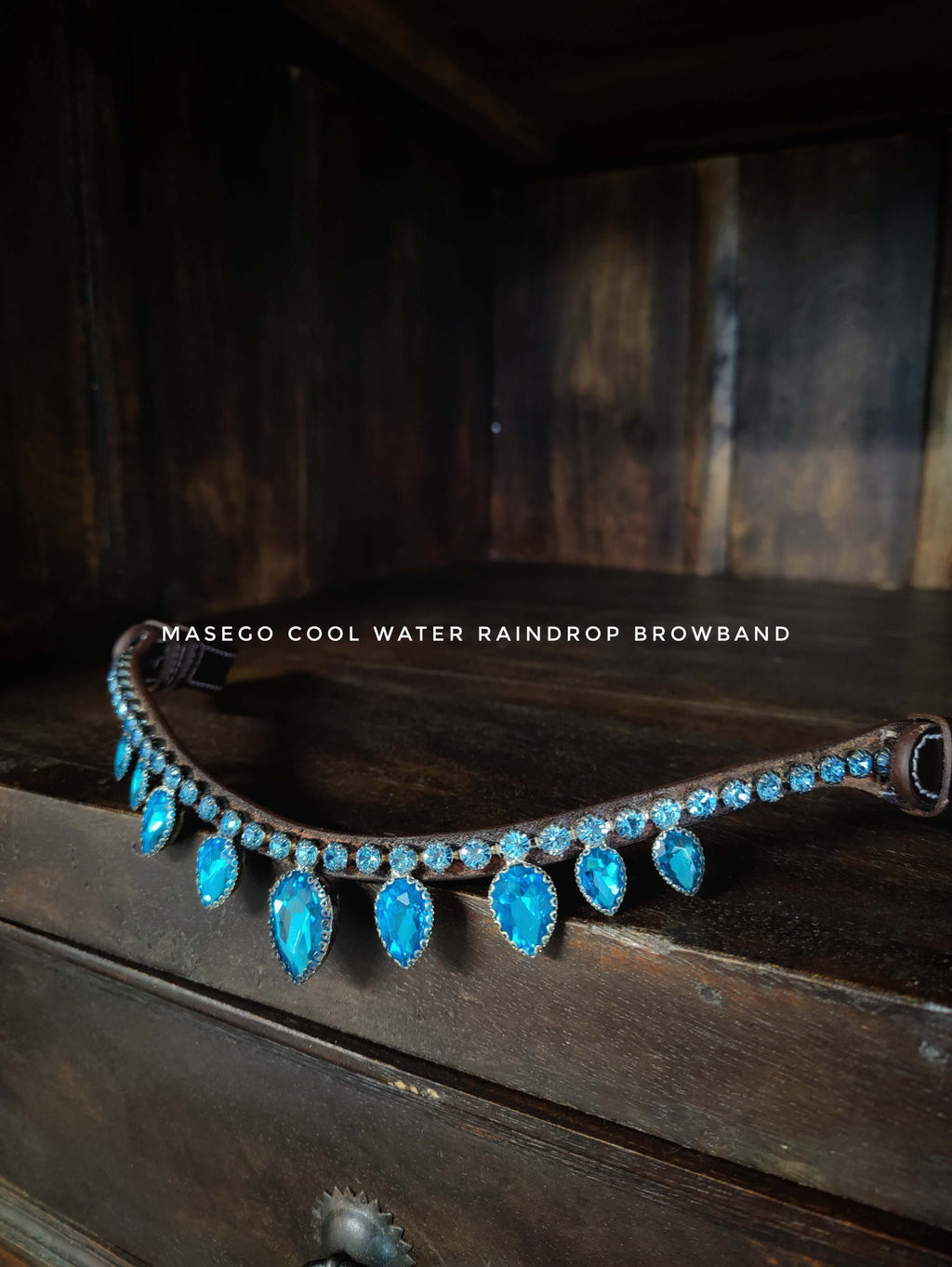 Bit and bitless bridles, halters, riding tights, swarovski browbands and much more