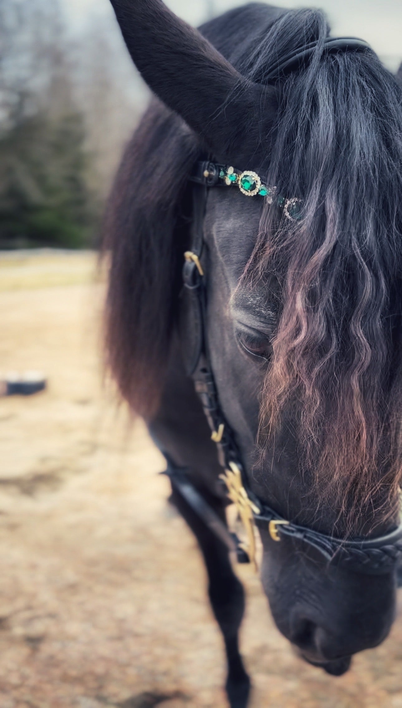 Fairy Queen browband