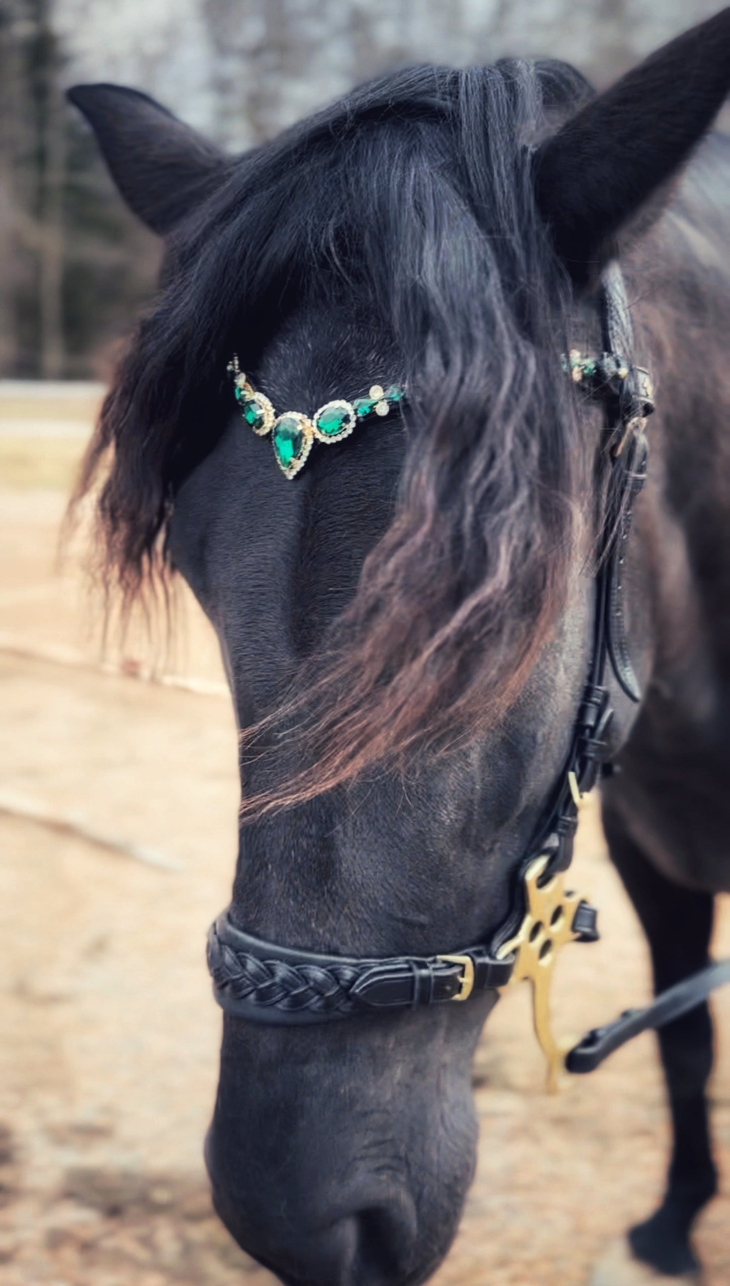 Fairy Queen browband