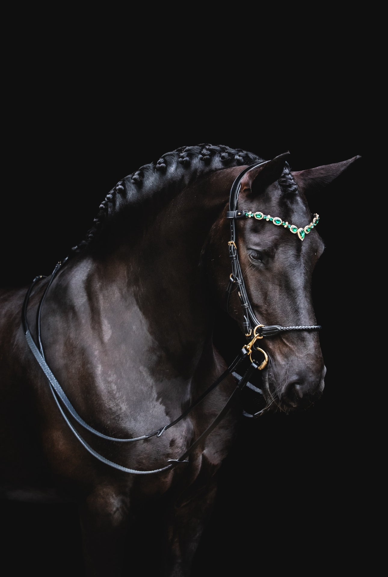 Grace Multi Bridle - MASEGO bit to bitless system