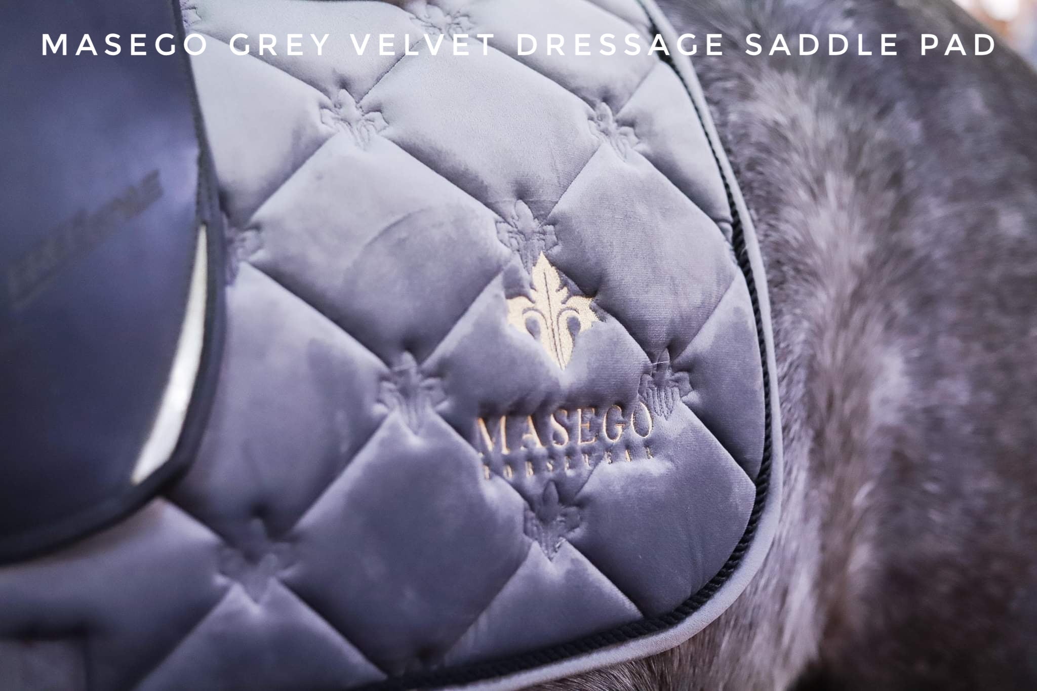 Grey velvet dressage saddle pad with black piping and beige gold logo in velvet-like material full size